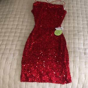 New with Tags Windsor Sequin Dress